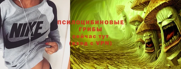 ГАЛЛЮЦИНОГЕННЫЕ ГРИБЫ Белокуриха