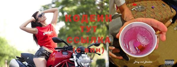 ГАЛЛЮЦИНОГЕННЫЕ ГРИБЫ Белокуриха