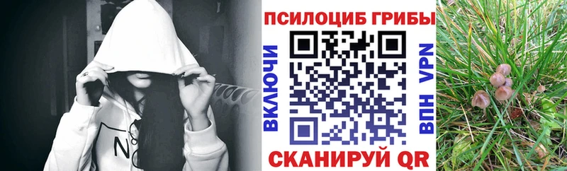 где можно купить   Невельск  Галлюциногенные грибы прущие грибы 